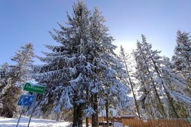 Yksityinen Zakopane-kierros Krakovasta valinnaisilla aktiviteetteilla