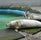 Beautiful Seals, Dalabyggð, Western Region, Iceland