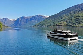 Visita guiada privada: crucero premium por el fiordo de Nærøyfjord y tren de Flåm