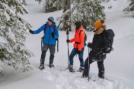 冰上钓鱼、火灾和生存的雪鞋行走冒险