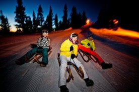 Night Sledding from Interlaken