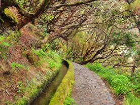 Ribeira Brava - city in Portugal