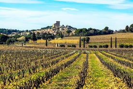 Châteauneuf Du Pape experiência intensiva em vinhedos e vinhos finos