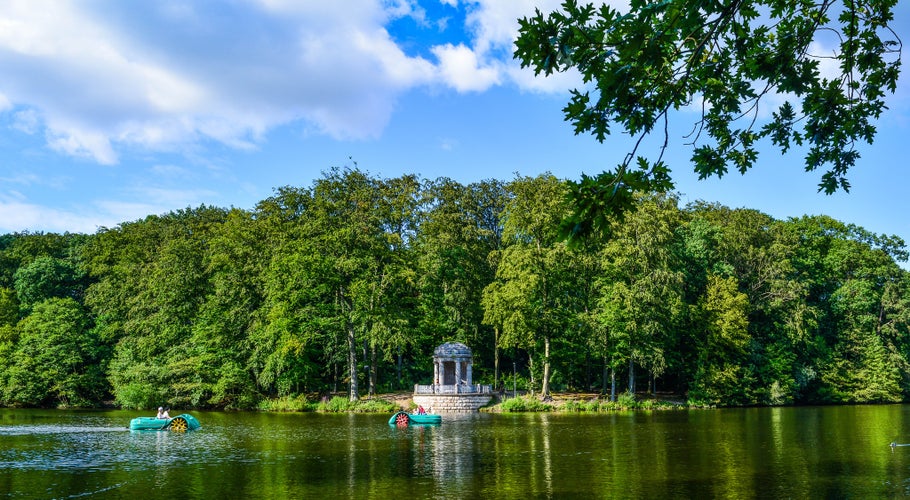 Photo of stunning sunny day in a nature park in Krefeld, Germany.