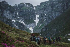 Private Wanderung zum Bucegi-Naturpark von Brasov aus