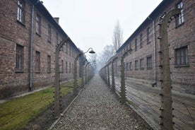 Krakow: Auschwitz-Birkenau Day Trip with Tour Leader