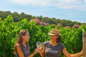 Journée privée vignobles du Golfe de Saint-Tropez