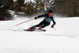 Sellaronda滑雪和滑雪板野生动物园