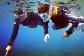 Snorkelling Experience in South of Gran Canaria 