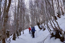 Frá Sarajevo: Snjógönguferð á Jahorina-fjalli