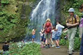 Privat vandreture til Mtirala National Park fra Batumi