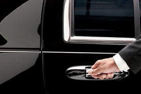 Nice Airport Private Arrival Transfer to Cannes, Monaco or Eze