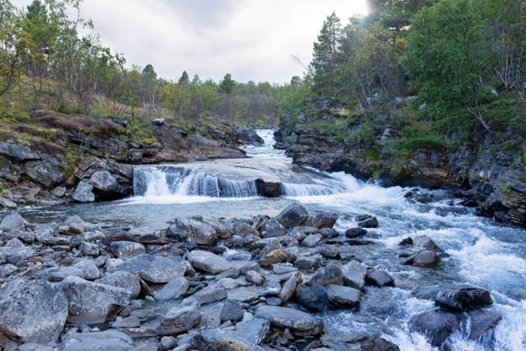 abisko2.jpg