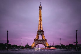 Sightseeing & Shopping Tour in Paris with CDG Airport Pick up 