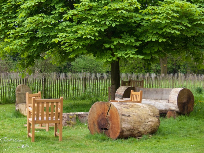 photo of view of garden botani in ,meise in belgium.