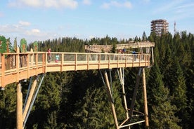 Frá Kraká: Slóvakía Treetop Walk og Bachledka skíði