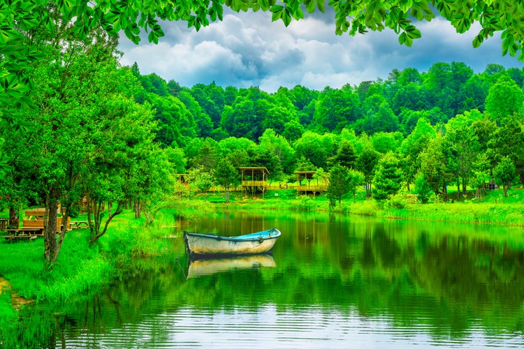 Photo of lake landscape in the forest. River landscape in the park, Uludag mountain, Bursa, Turkey.