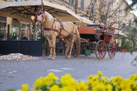 Tour completo della città e delle mura