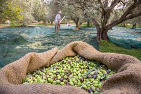 Visite gustative privée sur mesure d'une journée à Lefkada avec prise en charge