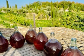 Dinner in the Vineyard French Riviera