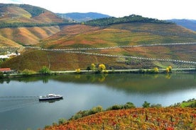 Tour di un'intera giornata nella regione vinicola dell'Alto Douro con pranzo