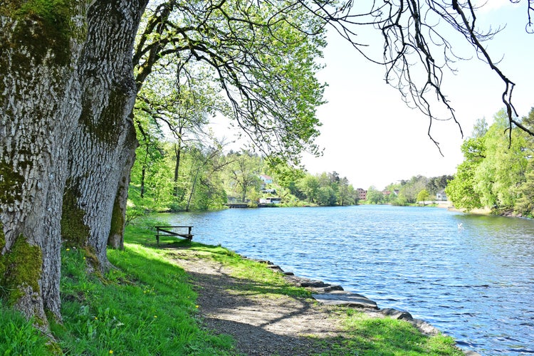 View of the park in the Arendal city of Norway in the sunny day. park on the side of the river. city park, the relaxing Place in the city With alot of trees and beautiful Natural around.