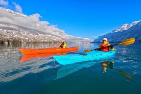 Private Winter Kayak Tour: Lake Brienz