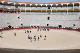 VIP-besøg på tyrefægterarenaen Las Ventas i Madrid