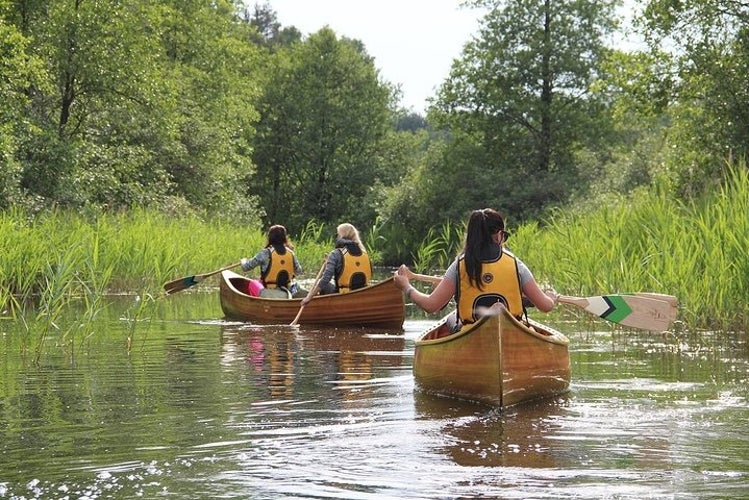 Cedar canoeing.jpg