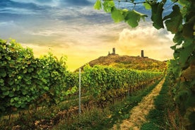 Uma deliciosa degustação de vinhos na paisagem campestre com almoço