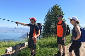 Rigi fjall - Einkadagsferð frá Luzern