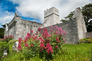 Muckross Abbey