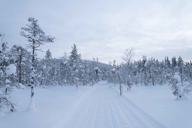 Jokkmokk: Snowmobile Skiing Tour in the Forest