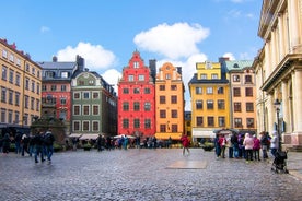 Stockholm Like a Local: Customized Private Tour