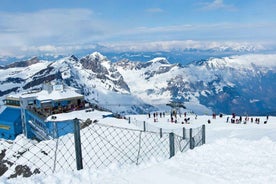 Lítil hópferð til Mt Titlis & Interlaken með bíl frá Zürich