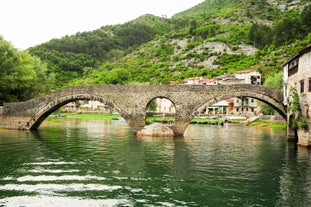 Photo of aerial view of the town of Fazana, Croatia.