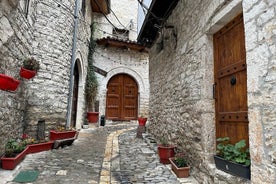 Tour UNESCO por la ciudad de Berat, el Castillo y el lago Belshi- Desde Tirana