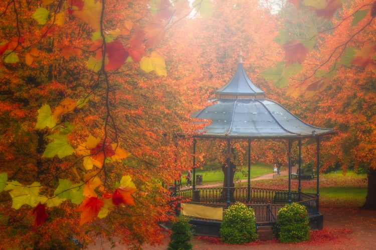 Arbor in a beautiful park in autumn, Colchester, England, UK