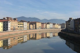 Excursión a la costa de Florencia y Pisa desde Livorno