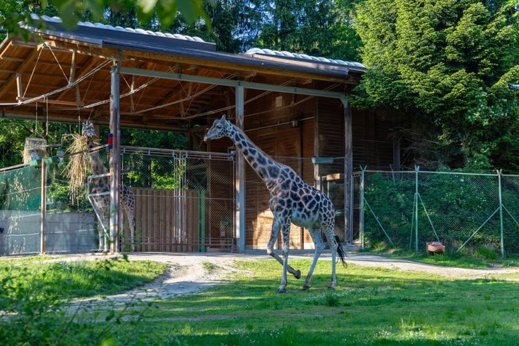 Ljubljana Zoo.jpg