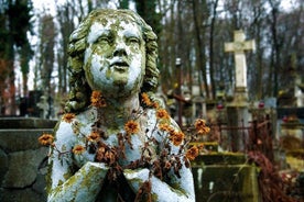 2-Hour Lviv Lychakiv Cemetery Private Tour