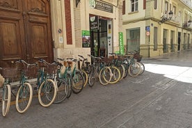 Ganztägiger Fahrradverleih in Valencia