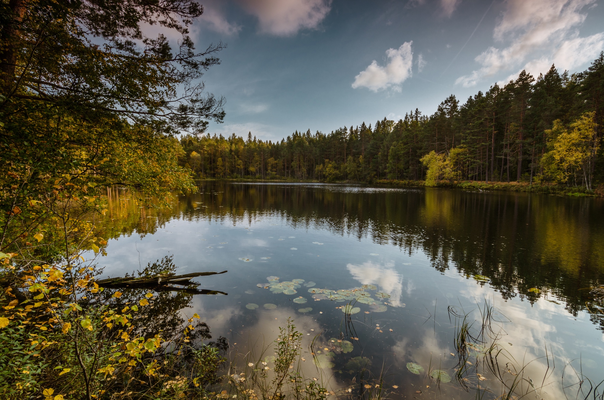 Norra Kvill National Park