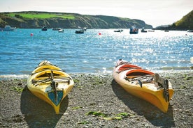 Recorrido guiado por la costa y las islas: kayak de mar en Galway