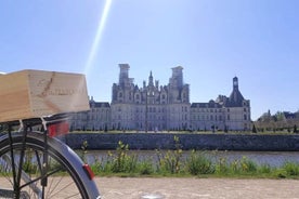 TOURS에서 Chambord까지 Loire Valley Ebike 투어