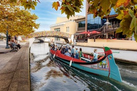 Aveiro: Leiðsögn í fallegri bátsferð