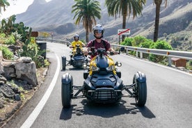 Can-am Ryker three wheels tricycle Mountain Tour (Maspalomas)