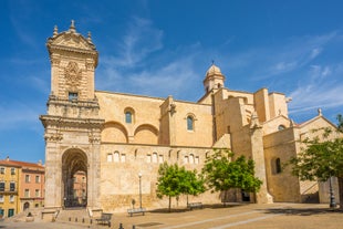 Photo of multicolored flower garden inside the city of Sassari ,Sardinia, Italy.