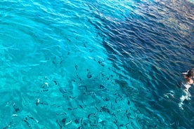 From Marseille: Calanques National Park Eco Boat Cruise