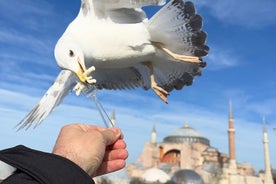 ISTANBUL BÄST: Ikoniska landmärken Heldags privat guidad stadsrundtur